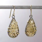 Fossil Coral, 18K Gold Sterling Silver Earrings