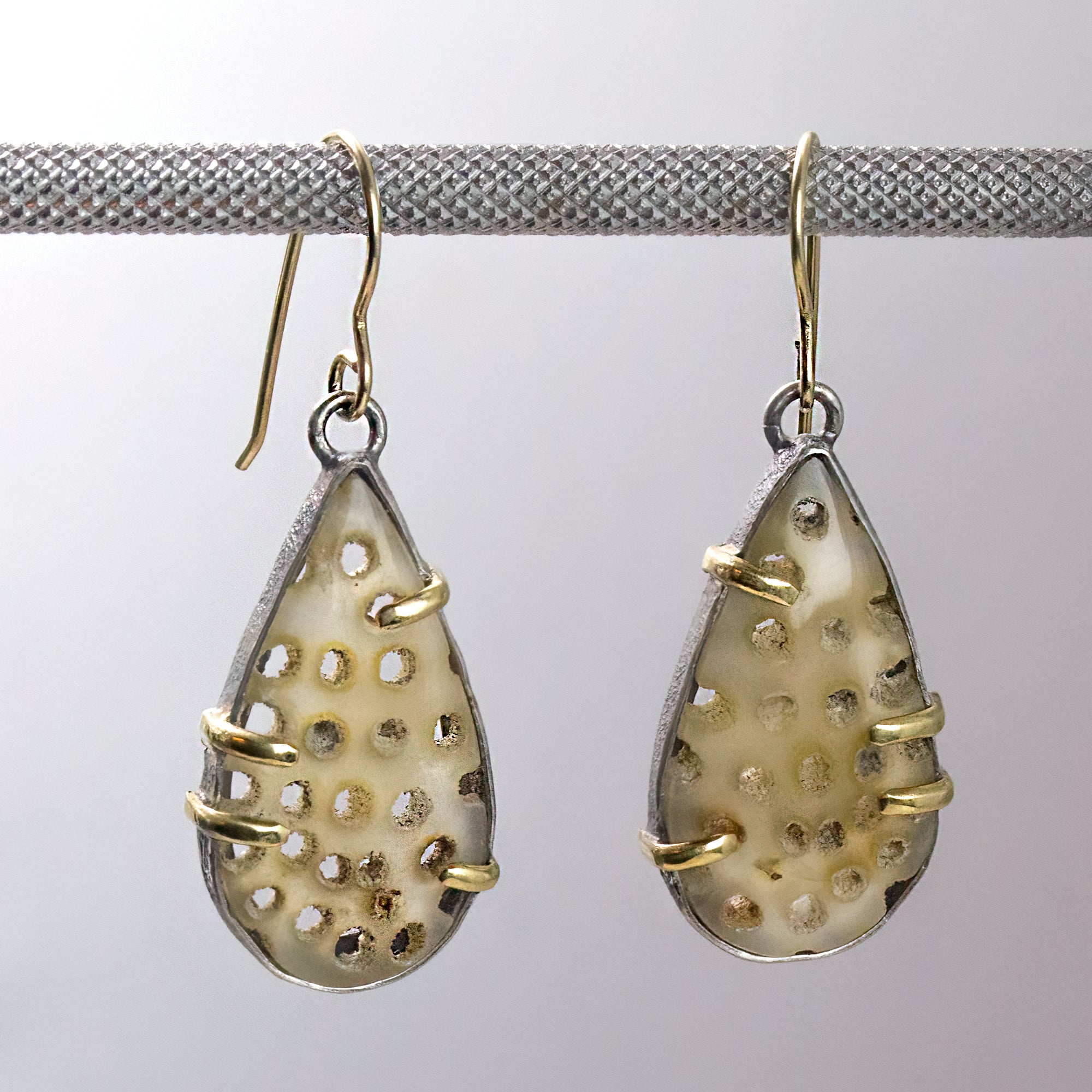Fossil Coral, 18K Gold Sterling Silver Earrings