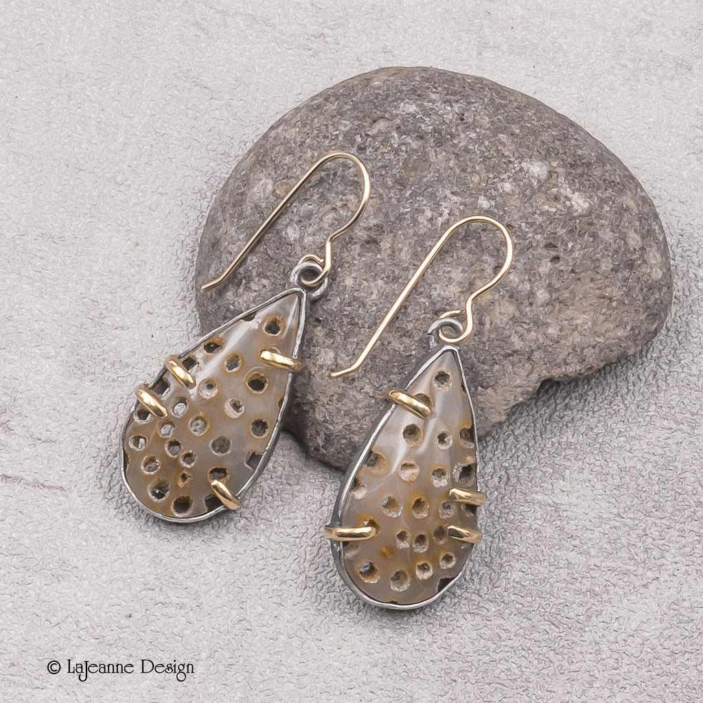 Fossil Coral, 18K Gold Sterling Silver Earrings