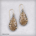 Fossil Coral, 18K Gold Sterling Silver Earrings