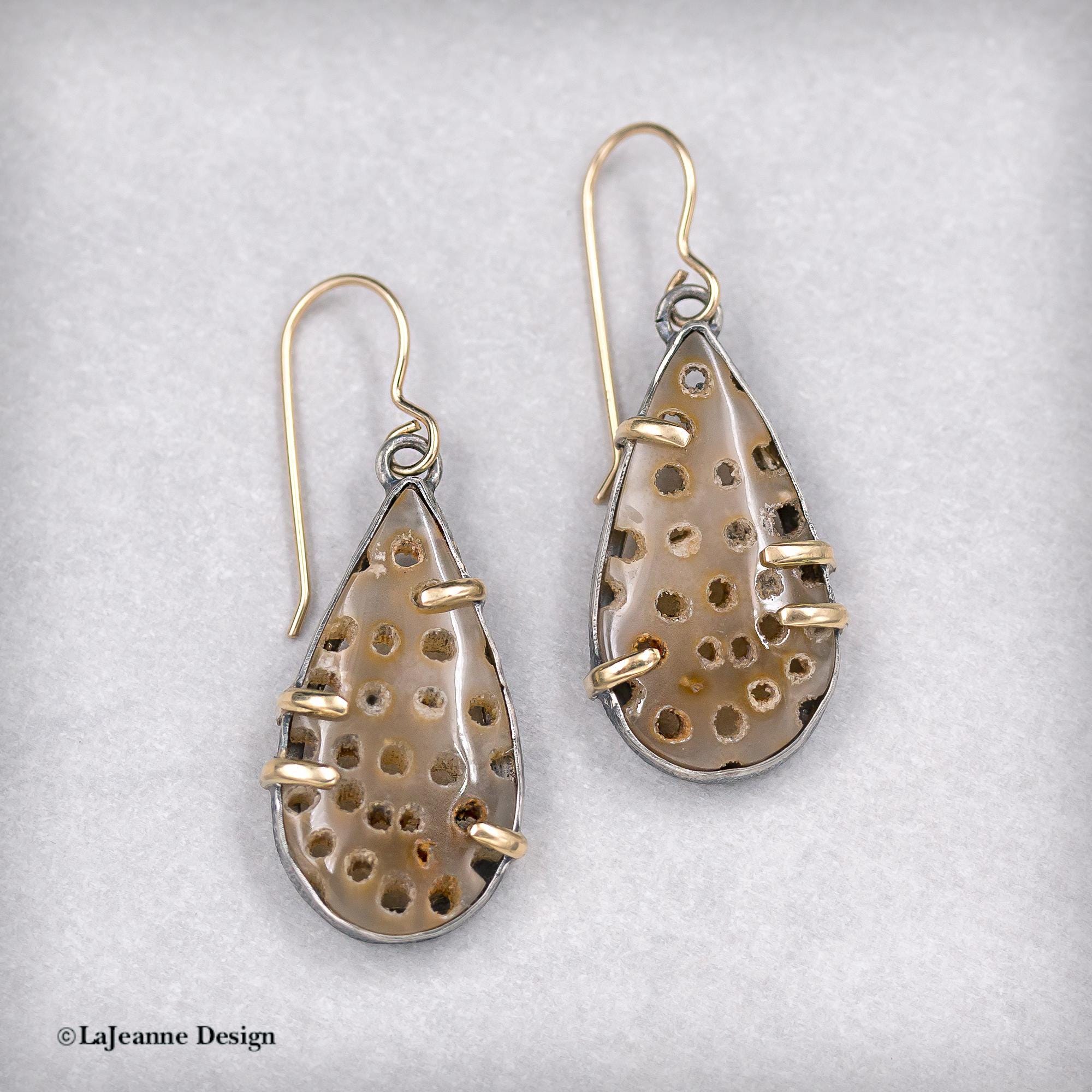 Fossil Coral, 18K Gold Sterling Silver Earrings