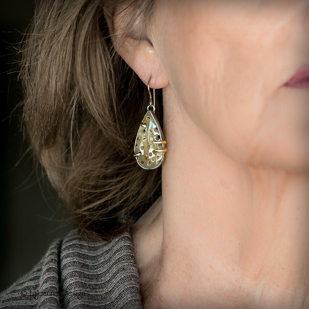 Fossil Coral, 18K Gold Sterling Silver Earrings