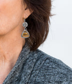 Zebra Petrified Wood Sterling Silver Earrings