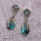 Opalized Wood Sterling Silver Earrings