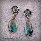 Opalized Wood Sterling Silver Earrings