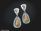 Petrified Palm Wood & Citrine Sterling Silver Earrings